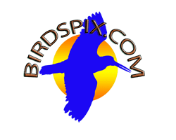 Birdspix.com logo