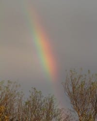 Rainbow in Laredo, TX