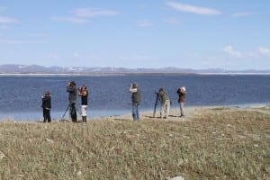Wilderness Birding group at Safety Sound, Nome, AK