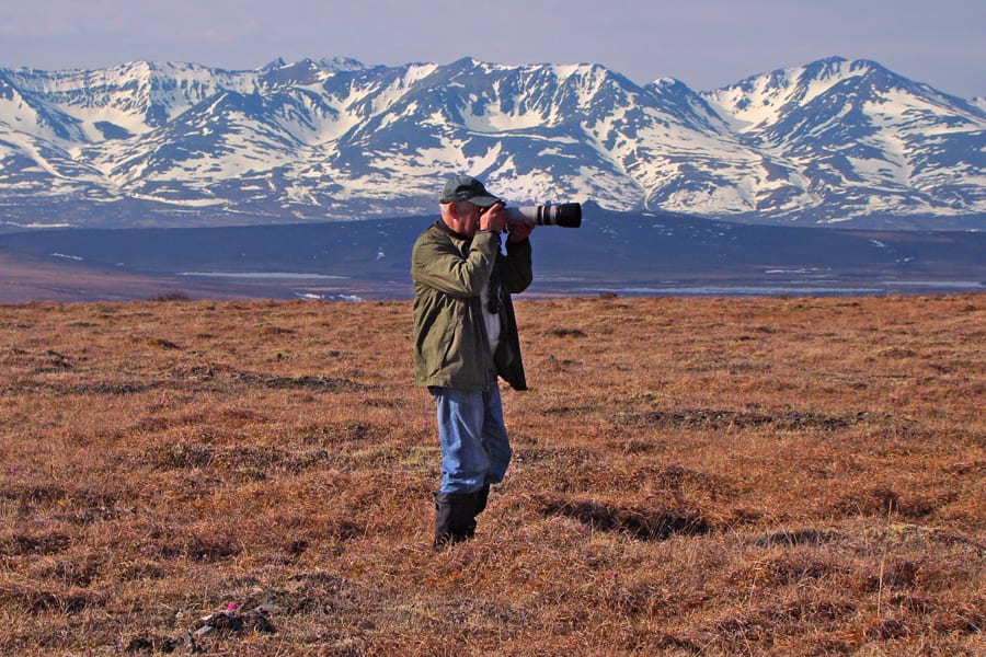 John photographing Bristle-thighed Curlew in Nome, Alaska