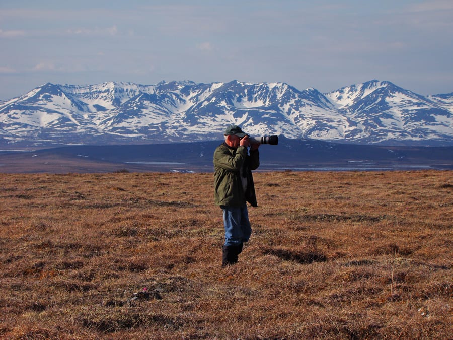 John photographing Bristle-thighed Curlew