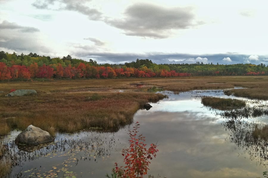 Maine autumn foliage