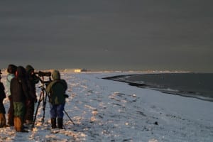 Birders at Barrow sea watch along Chukchi Sea