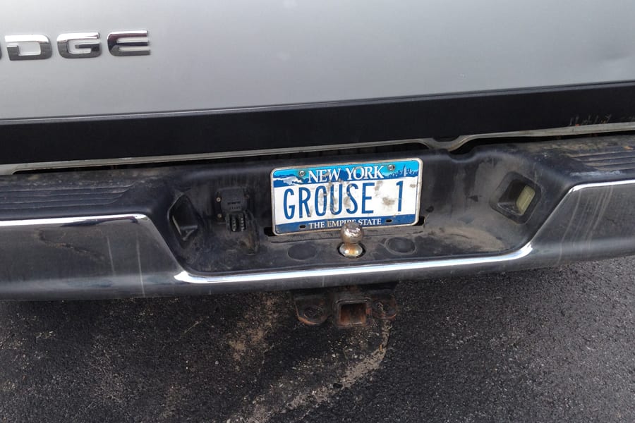 Grouse license plate