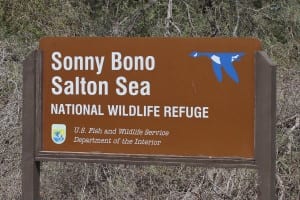 Sonny Bono Salton Sea NWR