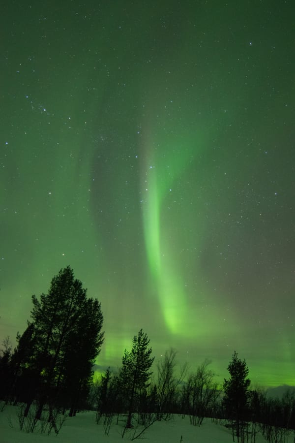 Aurora Borealis - Abisko, Sweden